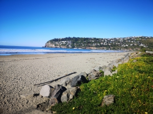 Sumner Beach - Photos of Christchurch