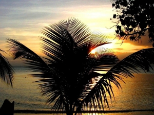 Photos of Puerto Rico