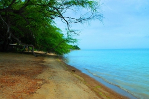 Photos of Puerto Rico