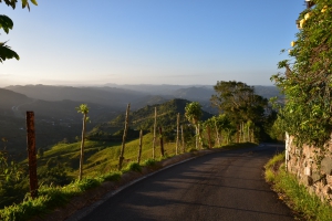 Road in Cayey, Puerto Rico