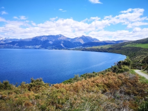 Jacks Point Trail - Photos of Queenstown