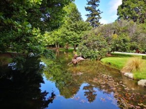 Queenstown Gardens - Photos of Queenstown