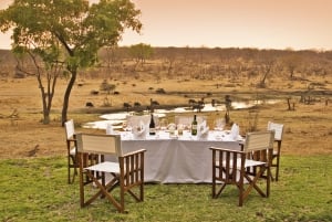 Bush Dinner At Stanley & Livingstone Hotel Victoria Falls