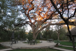 Camelthorn Lodge Victoria Falls Imvelo Safari Lodges