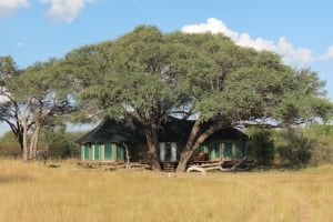Bomani Lodge Family Unit Imvelo Safari Lodges