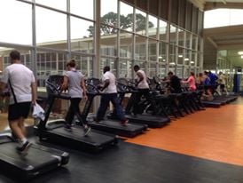 Profitness Gym - Borrowdale Village