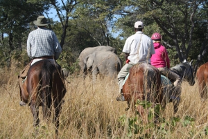 Safari on Horseback - Pamuzinda Lodge - Selous