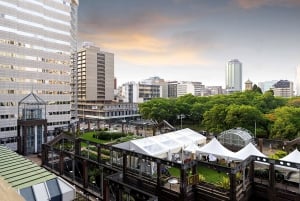 View of Capital City Harare From Rooftop of Meikles Hotel