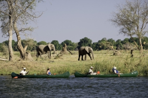 Canoe Trip Zambezi River Ruckomechi Camp Wilderness Safaris