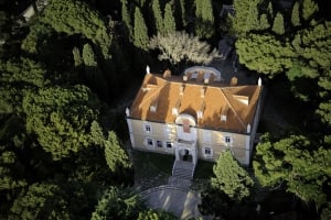 Castle of the Petrovic Family on Krusevac