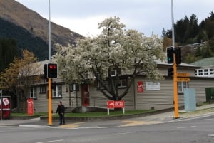 Queenstown Art Galleries