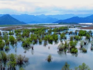 Skadar Lake Overview from Monastery Kom