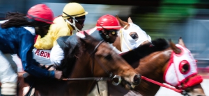 Horse Racing at The Garrison Savannah