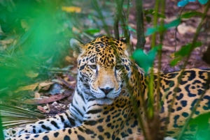 Stann Creek District