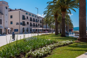 Tivat - Pine Promenade