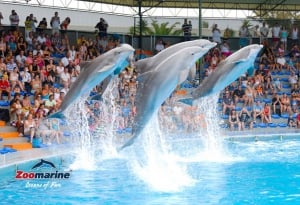 Top 10 Algarve Fun for Kids