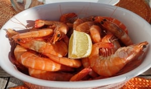 Portuguese Food - Recipes & Tips
