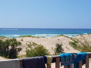 Top 10 Things To Do In Mozambique