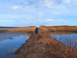 Hiking in the Ulcinj Saline