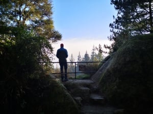 Whakarewarewa Forest