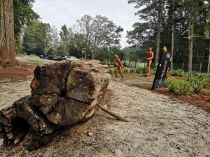 Whakarewarewa Forest