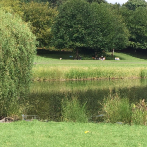 3. Vondelpark: Nature's Retreat in the City