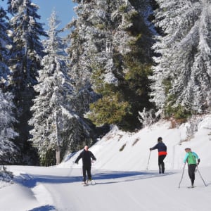 Cross-Country Skiing in Borovets