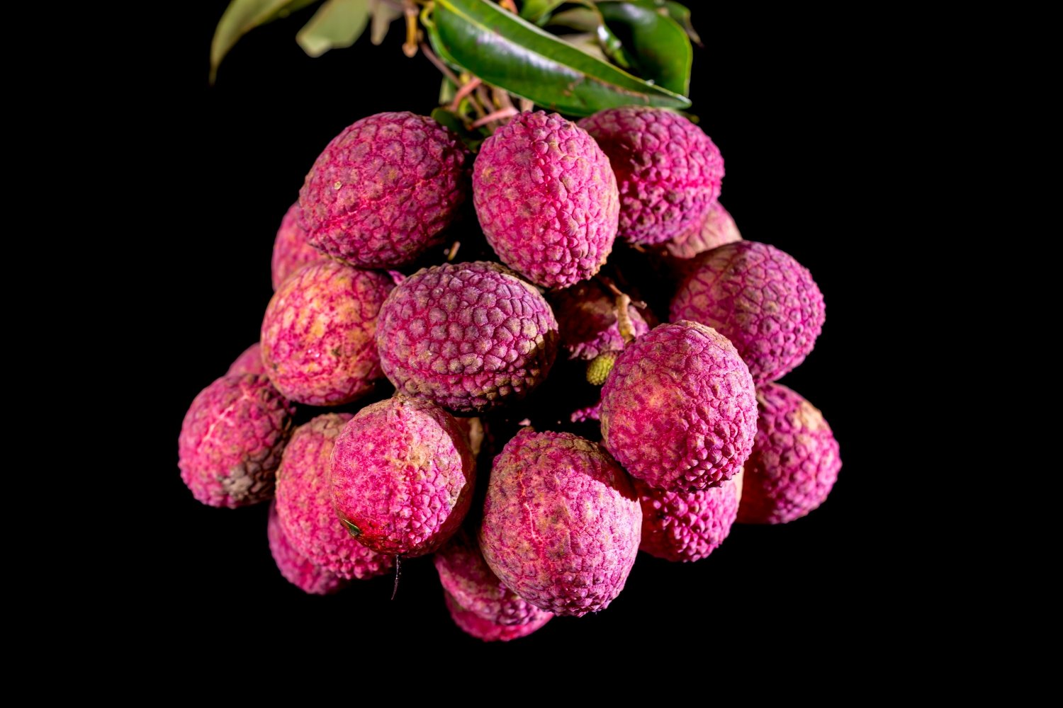 36 Pink Fruit - The Complete List from Exotic to Common with