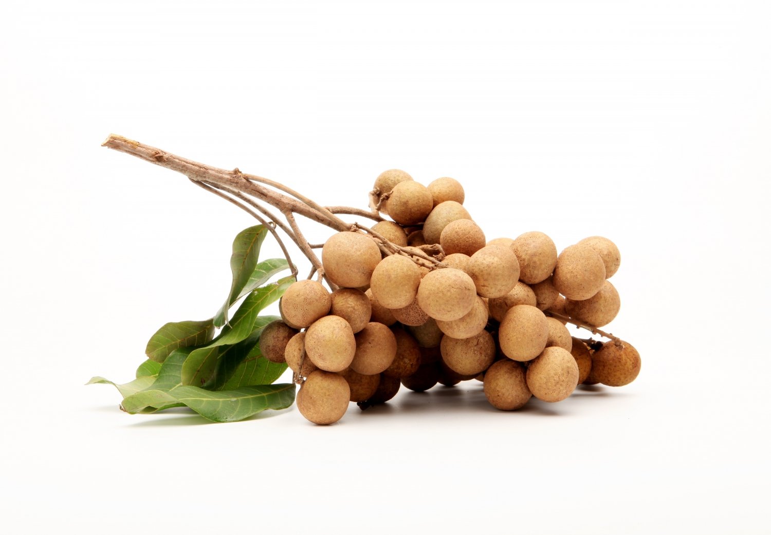 A longan comes in large bushels