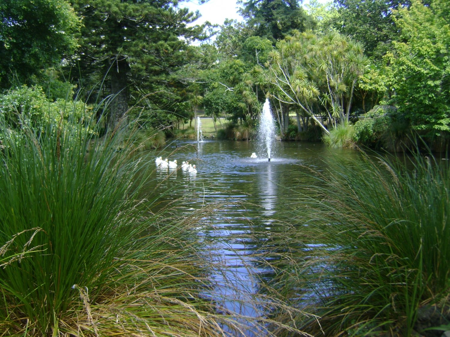 Auckland Domain Park and Wintergardens