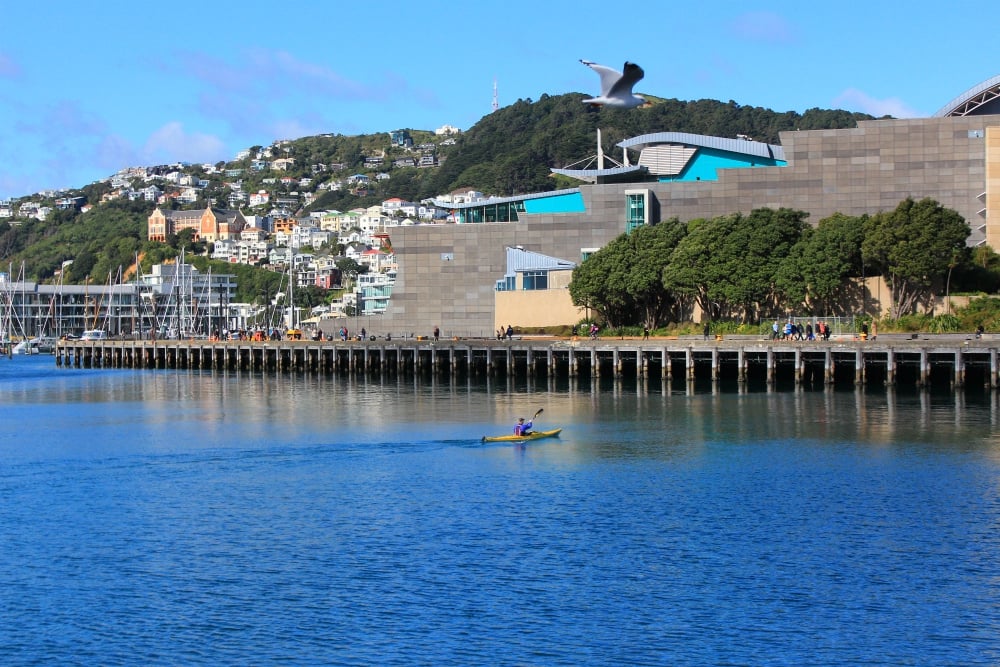 Best Museums in Wellington