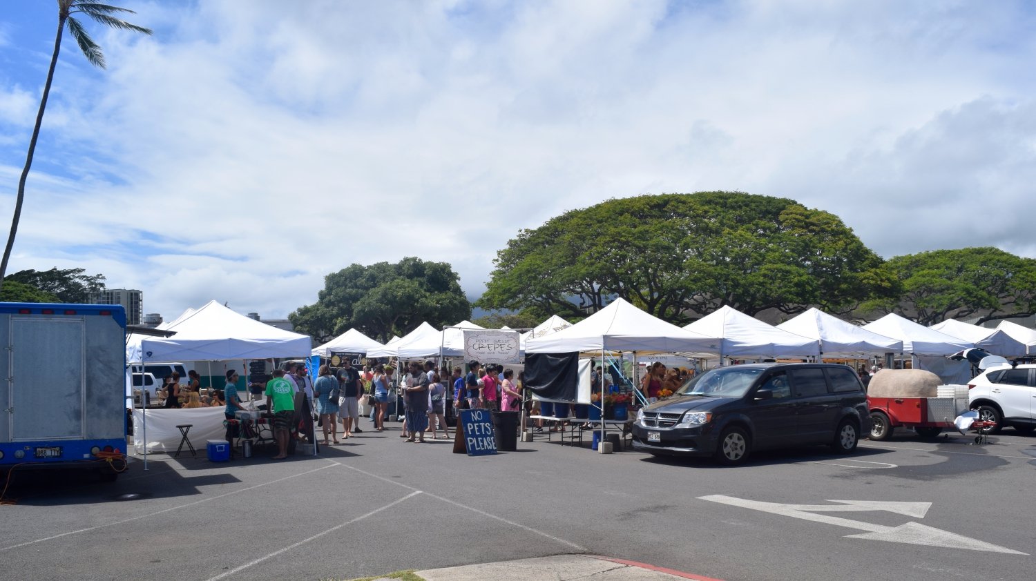 Kailua Town Farmers Market