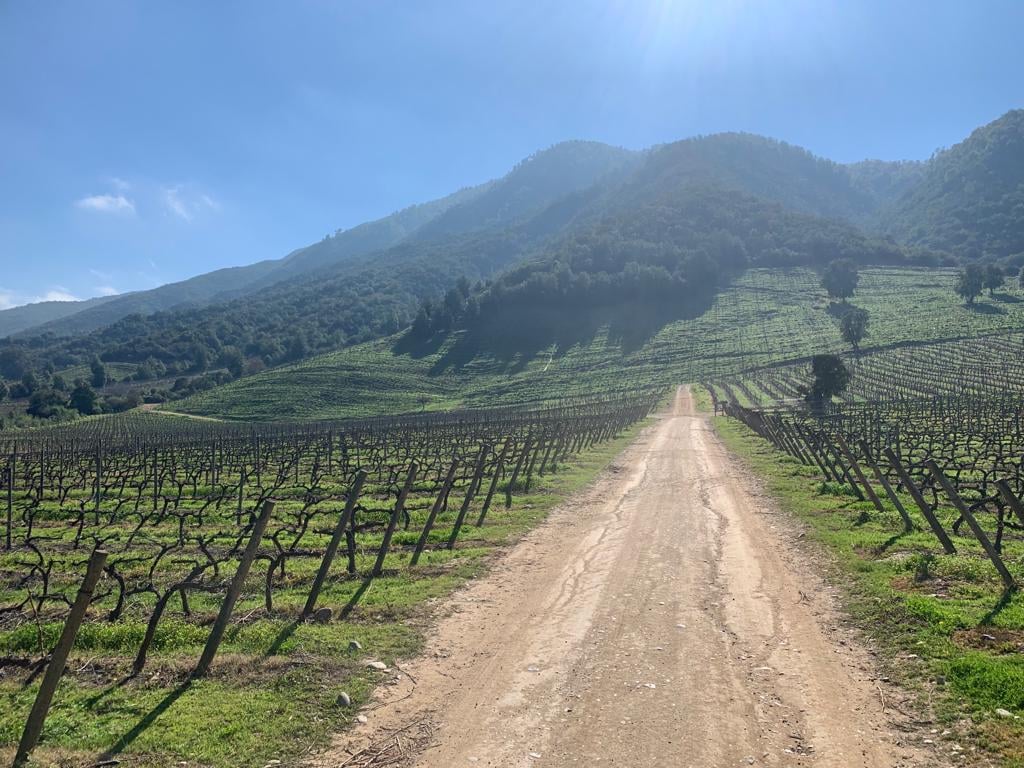 Expérience unique à la Montes Winery