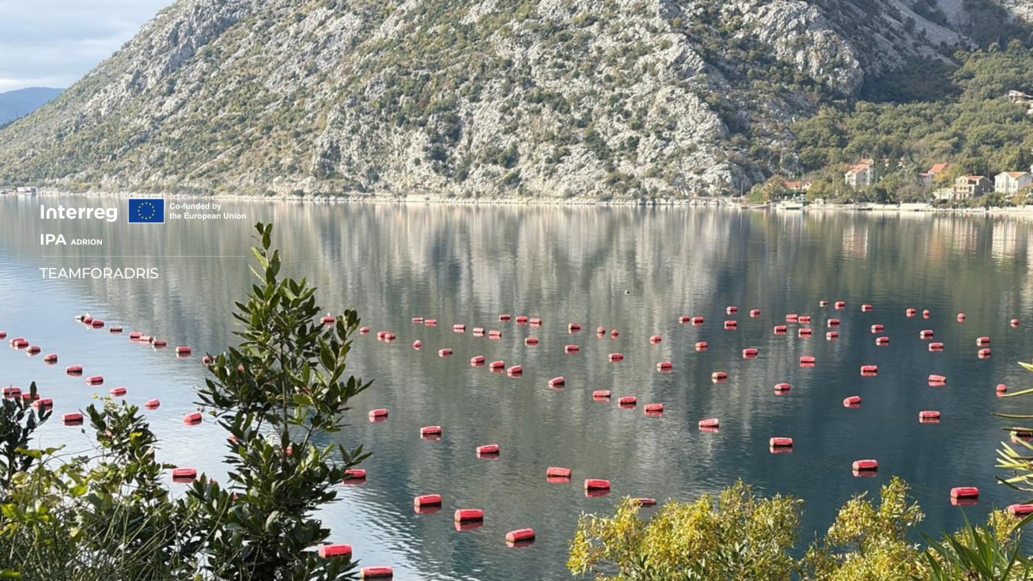TEAMFORADRIS Project: Montenegro Actively Contributes to the Preservation of the Adriatic Sea