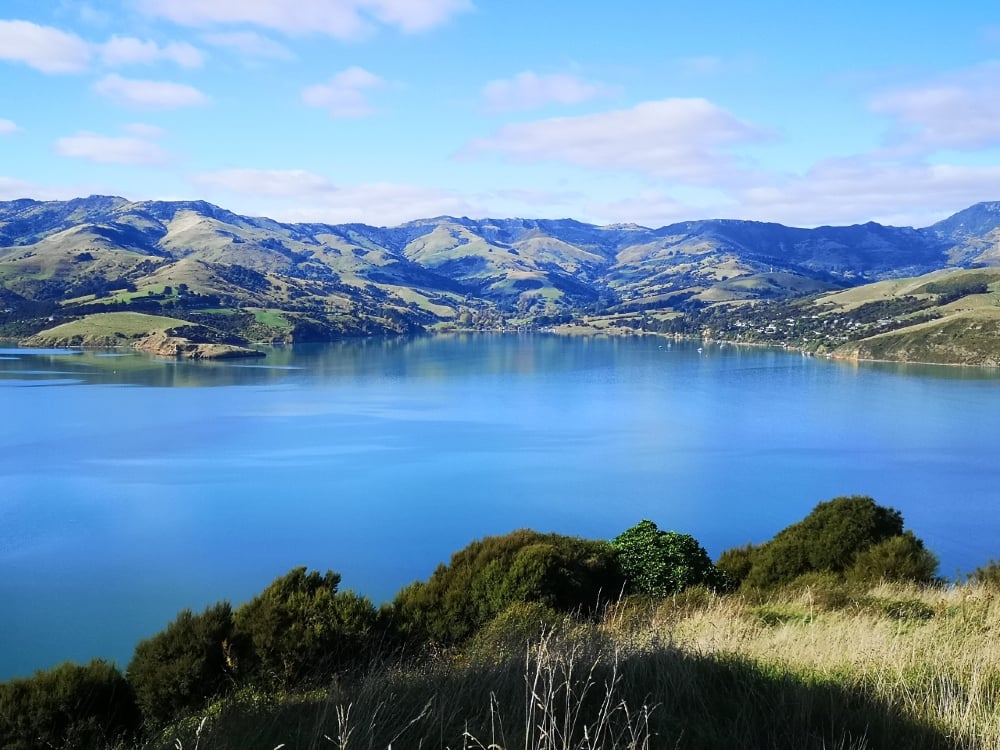 The Best Day Trips From Christchurch