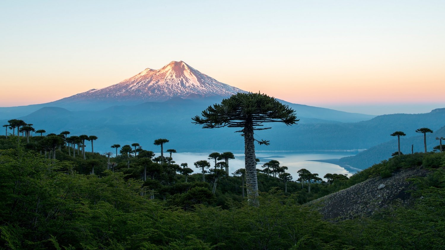 De bästa platserna att besöka under våren i Chile