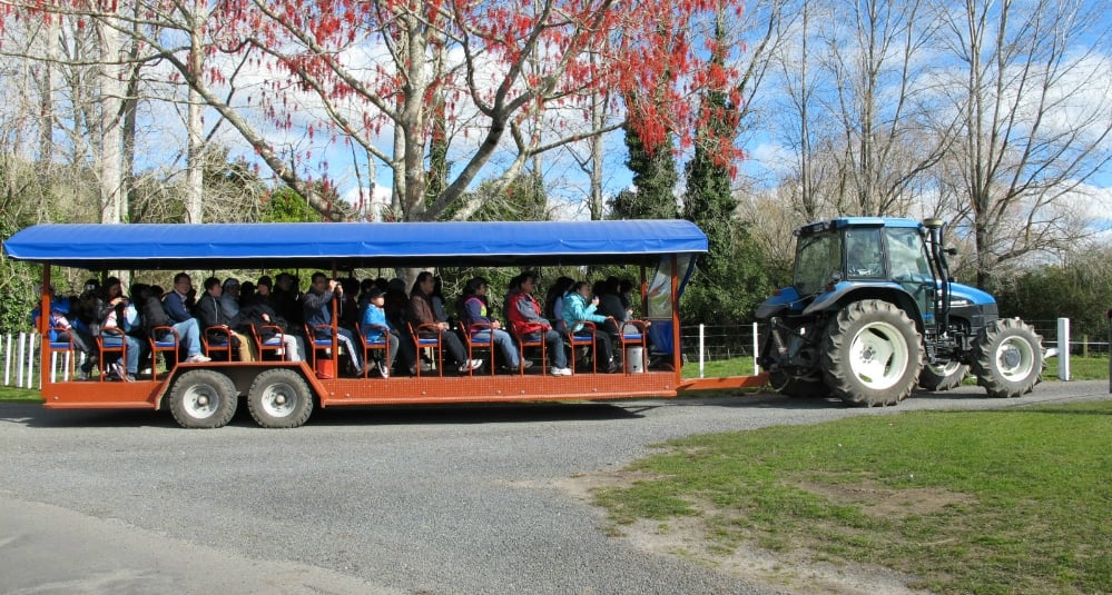 Top 5 Familienaktivitäten in Rotorua