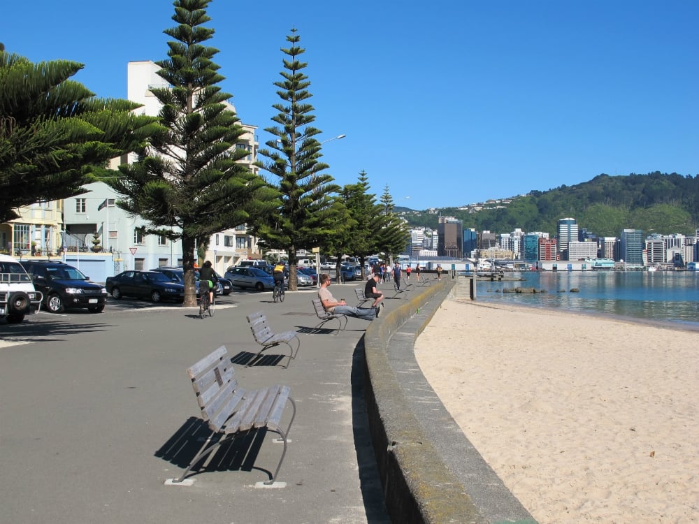 Top Things To Do In Wellington's Oriental Bay