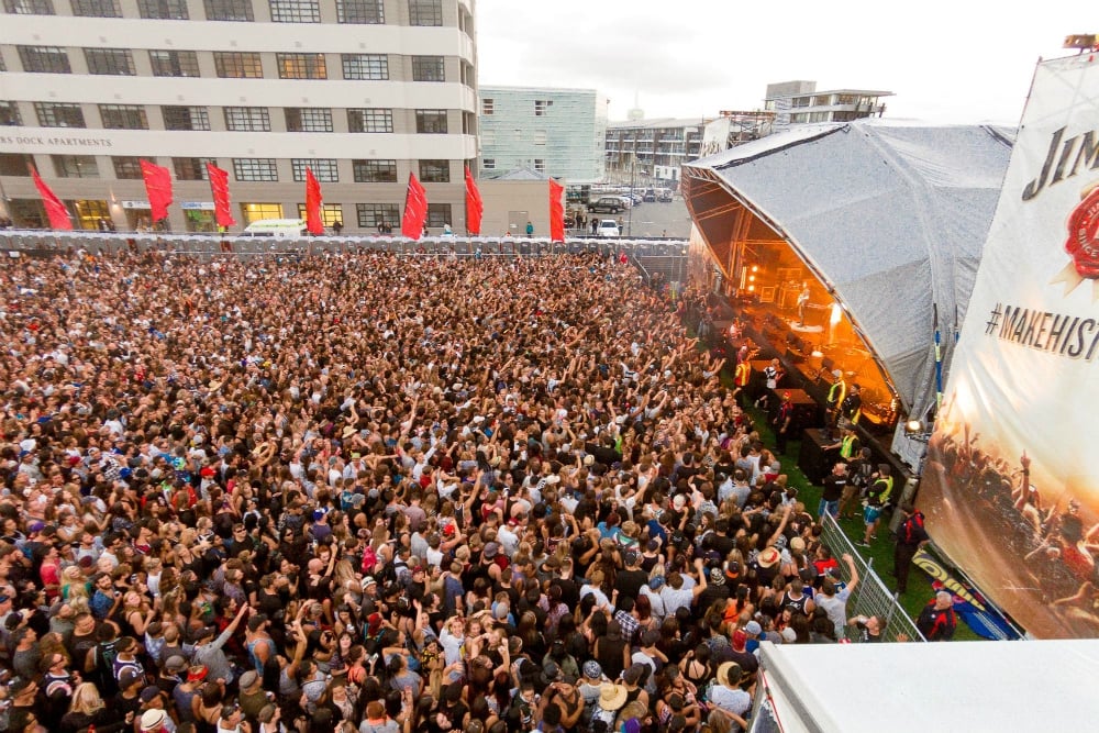 Wellington Festivals To Experience