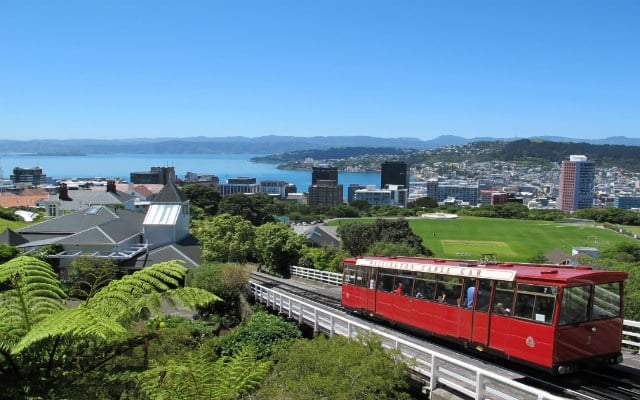 Wellington In A Day