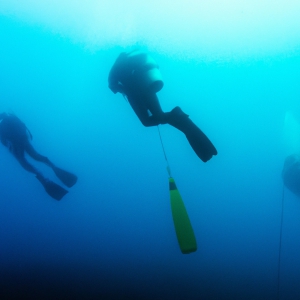 Scuba Diving in Costa del Sol