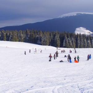 Sledging in Vitosha Mountain