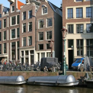 Take a Guided Walking Tour