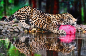 10 things to see and do in Belize