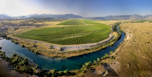 Vineyards Cemovsko Polje in Montenegro