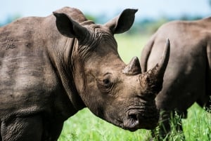 3 Must-Visit World Heritage Sites in Zimbabwe