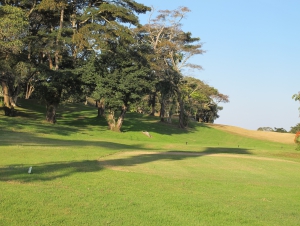 5 Things to do in Vumba