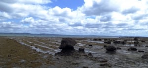 A day in Auckland’s Shakespear Regional Park