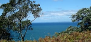 A day in Auckland’s Shakespear Regional Park