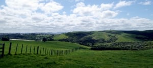 A day in Auckland’s Shakespear Regional Park